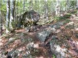 Kranjski Rak  - Gradišče (Velika planina)